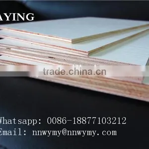 Sea Plywood thumbnail-5