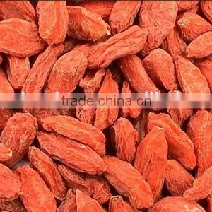 Zhongning Gouqi Berry thumbnail-1