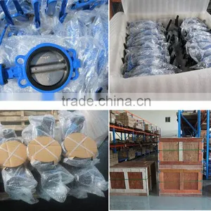 Dual Wafer Butterfly-type Check Valve's Manufacturer From Chinese Factory thumbnail-3