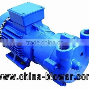 2BV2070 Water Ring Vacuum Pump thumbnail-3