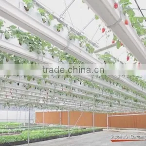 Trinog-xs (Xiamen) Greenhouse Tech Co., Ltd. company overview - view 1 thumbnail