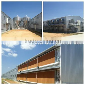 Lage-scale Chicken Poultry Farm Overall Design and Building thumbnail-1