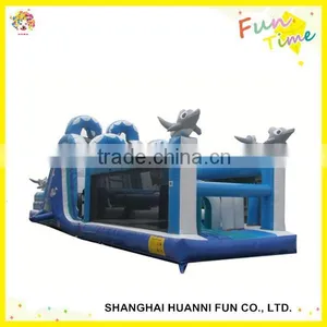 Hit and Run Inflatable Obstacle for Children and Adults Sports thumbnail-6