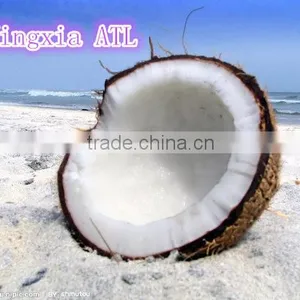 Top Quality Coconut Shell Activated Carbon Manufacture thumbnail-2