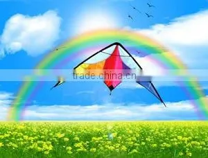 Dual Line Delta Stunt Kites - Curved Edge Kites thumbnail-1