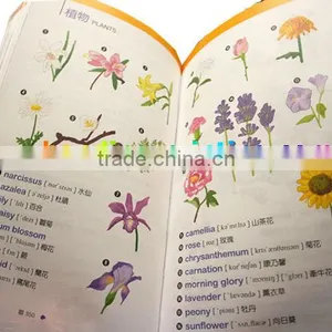 China High Quality and Coloring Softcover Educational Books Printing Service thumbnail-1