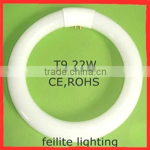 Light Source Fluorescent Lamp Tube T5/T6/T8/T9/T10/T12 thumbnail-3