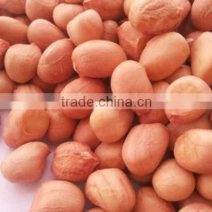 Chinese Java Peanuts Kernels thumbnail-2