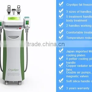 Fat Reduction CE FDA 2 Cryo Handles 2 RF Heads Fat Melting 1 Cavitation Head Fat Freezing Cryolipolysis Slimming Machine For Weight Loss thumbnail-5