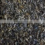 Niger Seeds From India thumbnail-1