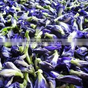 Dried Violet Butterfly Pea Flower Tea for Sale thumbnail-1