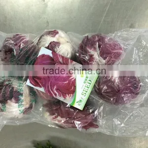 Fresh Radicchio thumbnail-3