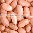 Peanut in Shell 2015 New Crop thumbnail-1