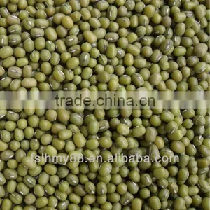Northeast China Green Mung Bean thumbnail-1