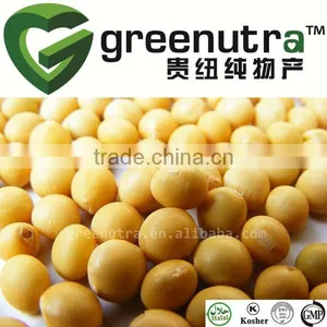 Soya Lecithin Powder thumbnail-1