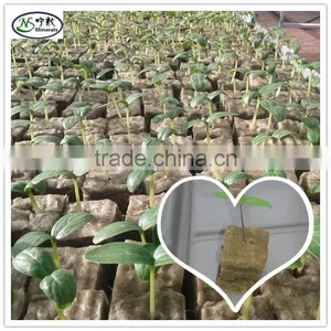 Rock Wool Starter Cube Hydroponic Rockwool for Lettuce Growing Box, Vertical Garden thumbnail-4