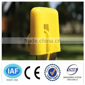Y Post Yellow Caps thumbnail-1