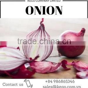 Vietnam Fresh Onion for Kuwait Market thumbnail-1