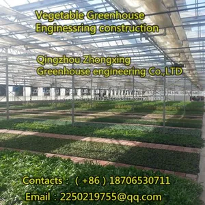 Grass Greenhouse, We Are Professional！ thumbnail-4