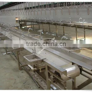 High Quality Poultry Slaughterhouse Equipment Viscera Collection Channel For Chicken Abattoir Plant thumbnail-2