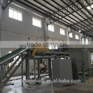 High-level Palletizer thumbnail-2