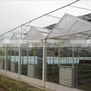 Clear Tempered Glass for Greenhouse With Factory Price and CCC CE ISO thumbnail-1