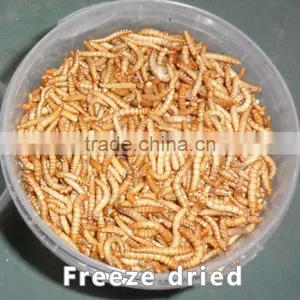 First Grade Freeze Dried Mealworm for Sale, Pet Food Mealworm Turtle Food thumbnail-1