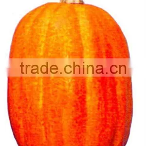 NEW DESIGN---2011 Hot-Selling Natural Popular Large Plastic Pumpkins thumbnail-1