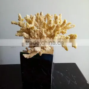 Polyresin Coral Decoration thumbnail-4