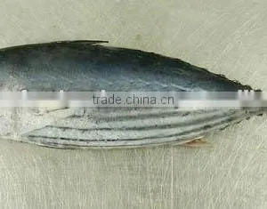 Seafood Tuna Skipjack thumbnail-1