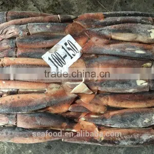 Frozen Whole Round Squid ILLEX ARGENTINUS 2016 NEW PRODUCTION thumbnail-2