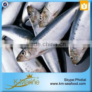 Frozen Wholesale Sardines Seafood Fish thumbnail-3