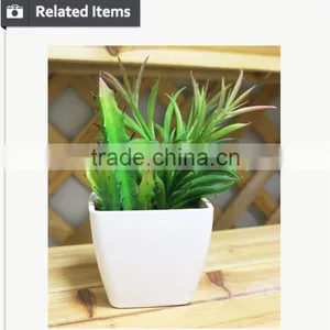 Artificial Mini Succulents Artificial Succulent Plants for Indoor Decoration Bonsai Potted Small Preserved Plant thumbnail-5