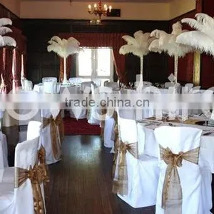Wedding Party Decoration Ostrich Feather Wholesale thumbnail-1