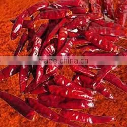 Red Chilli thumbnail-1