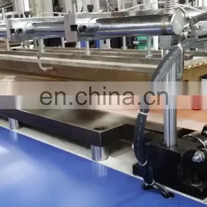 Medical Veterinary PE Gloves Making Machine thumbnail-6