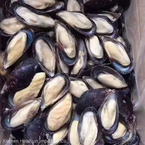 Frozen Half Shell Mussel thumbnail-1