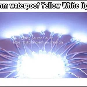 LED Decoration Light 9mm 12mm LED Pixel Strings White Color 5V 12V Lightings For Outdoor Signage thumbnail-2
