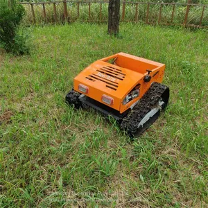 rc Remote Control Lawn Mower, China Remote Slope Mower for Sale Price, Remote Control Mower for Sale thumbnail-1