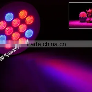 High Quality E27 Spectrum King Led Plant Lamps Grow Par 38 Light for Flowers Bloom Plants, Grow Spotlight thumbnail-4