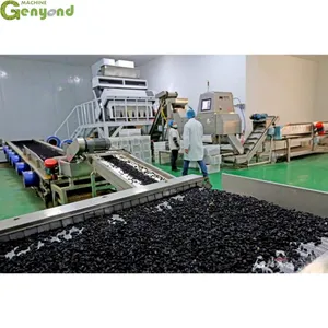Raisin Drying Machine Hotsell Industrial Raisin Washing and Drying Machinery Dates Cleaning Line thumbnail-6
