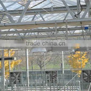 Hot Dip Galvanized Steel Frame Greenhouse thumbnail-2