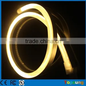 Popular Transparent Warm White Waterproof Ip66 Led Neon Lights Low Voltage thumbnail-4