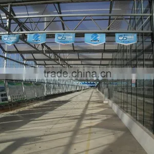 Commercial -Agricultural Polycarbonate Greenhouse thumbnail-4