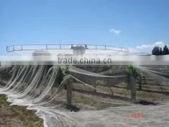 (20 Years Factory) Hot Selling ,2013 New Arrival, Long Life White Anti-bird Netting on Grapes , 35 GSM / 20101-35 thumbnail-6