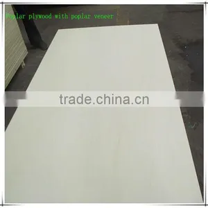 Poplar Plywood With Poplar Veneer Wood for Sale thumbnail-1