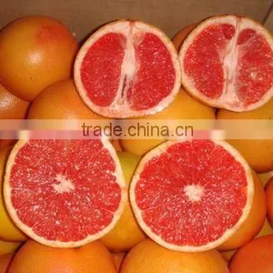 Fresh Grapefruit thumbnail-3