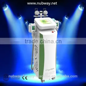 Spa Use Professional Fast Slimming Cryolipolise Hd-pr3 For Fat Freeze thumbnail-1