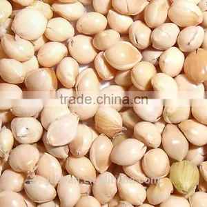 High Quality White Broomcorn Millet (glutinous Broom Corn/proso Millet) thumbnail-1