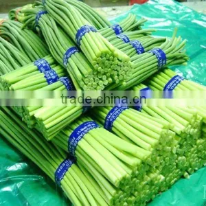 New Fresh Garlic Shoot From China thumbnail-1